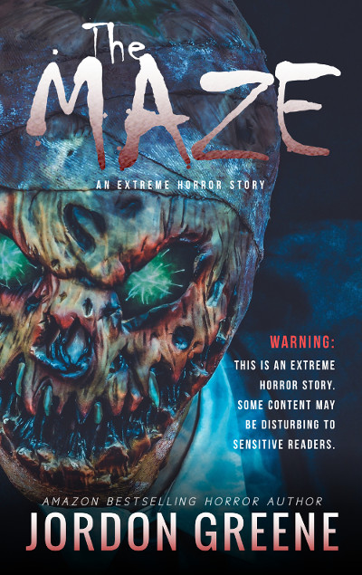 Book Cover: The Maze