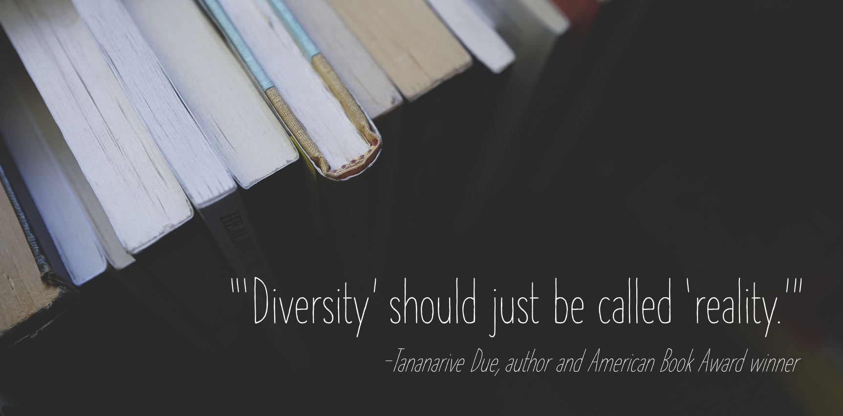 Article Image: Banning Diverse Books is a Denial of Reality